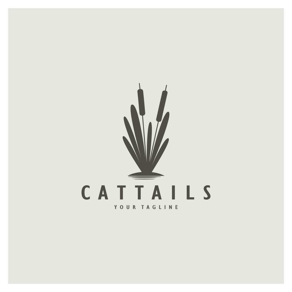 cattails ou rio cana Relva plantar logotipo projeto, aquático plantas, pântano, selvagem Relva vetor