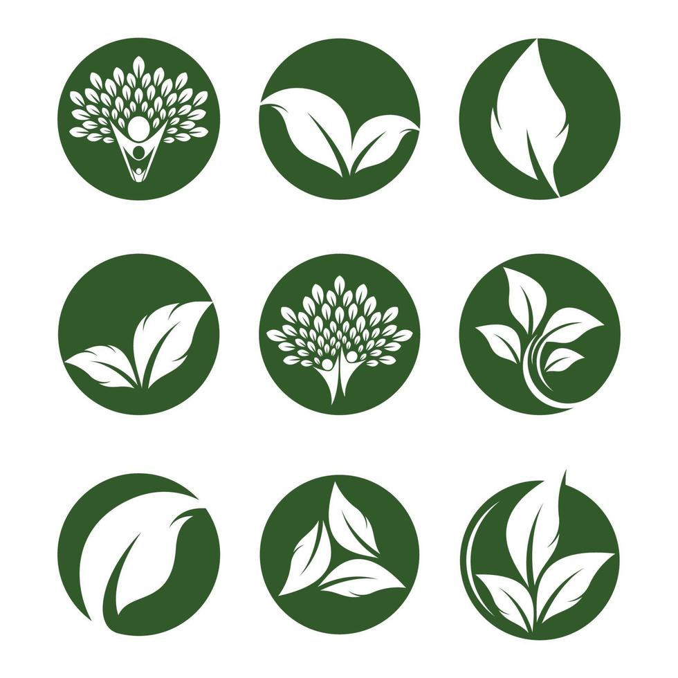 ilustração das imagens do logotipo da ecologia vetor