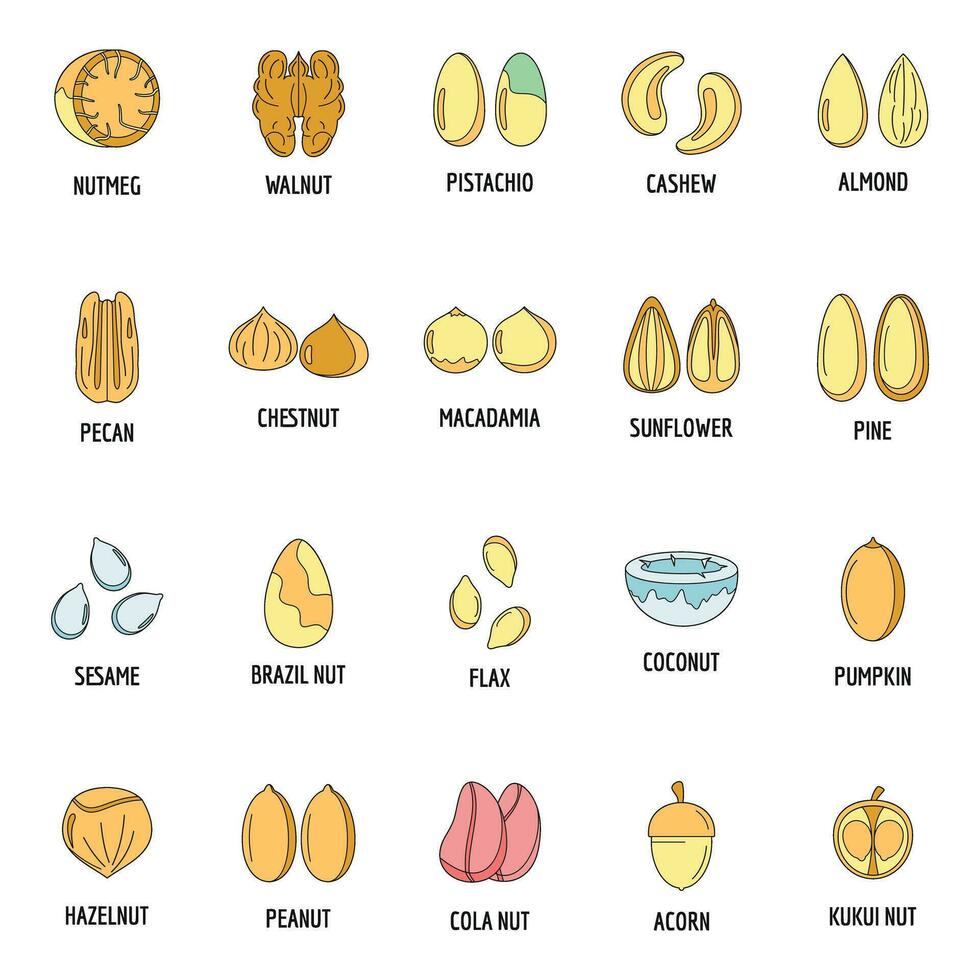 noz tipos com assinado nomes ícones conjunto vetor cor
