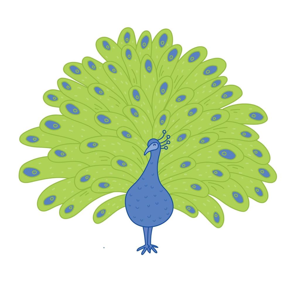 pavão com penas verdes e azuis, desenho de ilustração vetorial. vetor