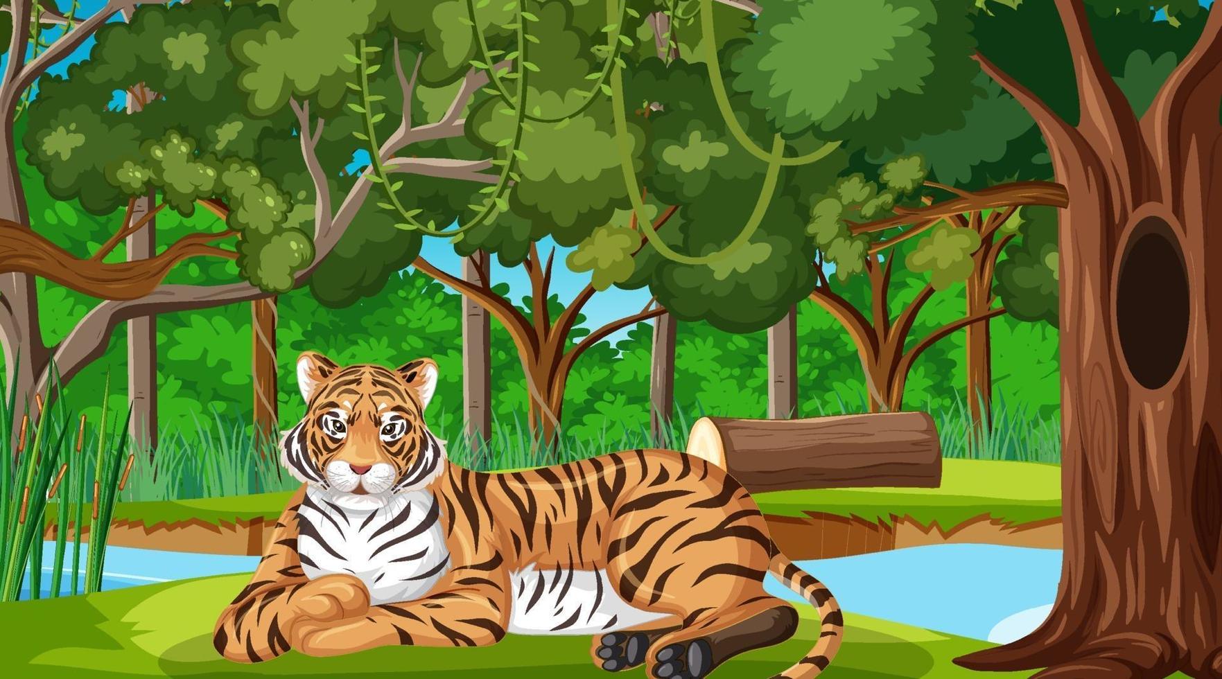 um tigre na floresta ou cenário de floresta tropical com muitas árvores vetor