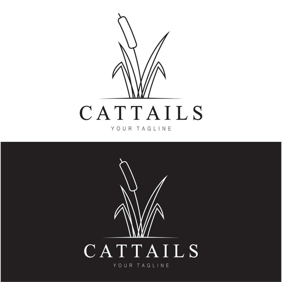 cattails ou rio cana Relva plantar logotipo projeto, aquático plantas, pântano, selvagem Relva vetor