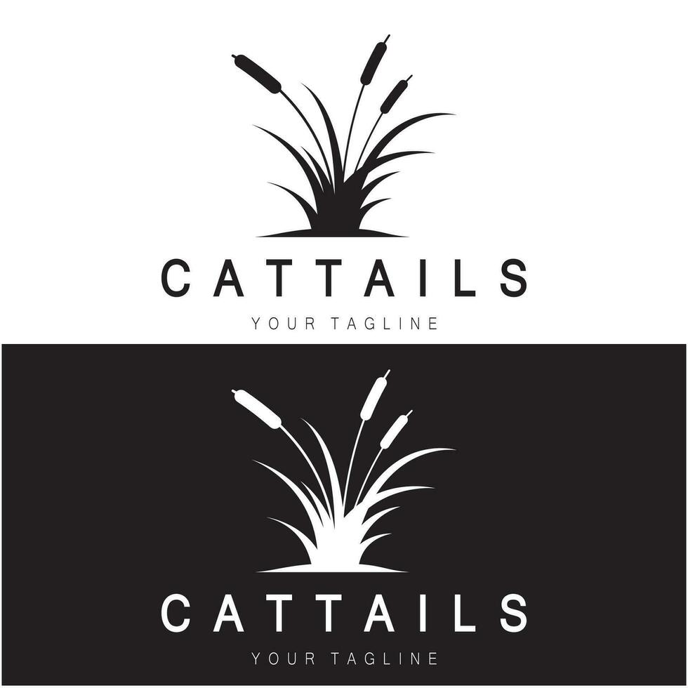 cattails ou rio cana Relva plantar logotipo projeto, aquático plantas, pântano, selvagem Relva vetor