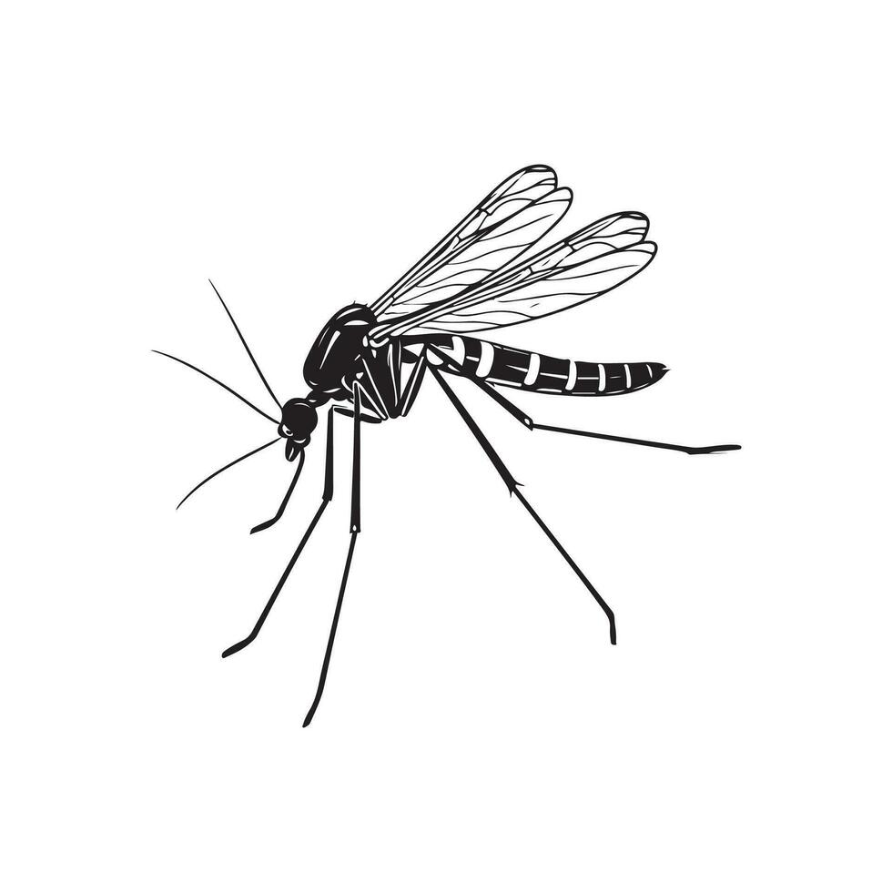 mosquito imagem vetor, ícone, logotipo vetor