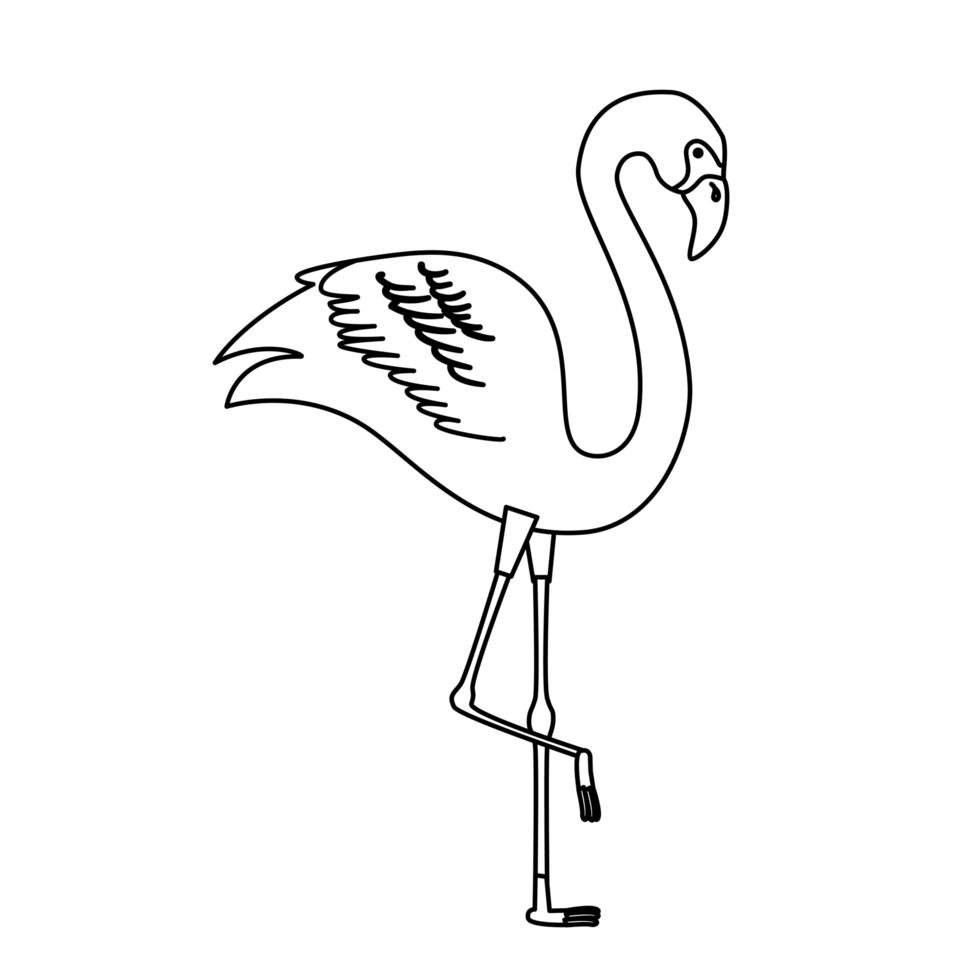 ícone de estilo de linha exótica de animal rosa flamingo vetor