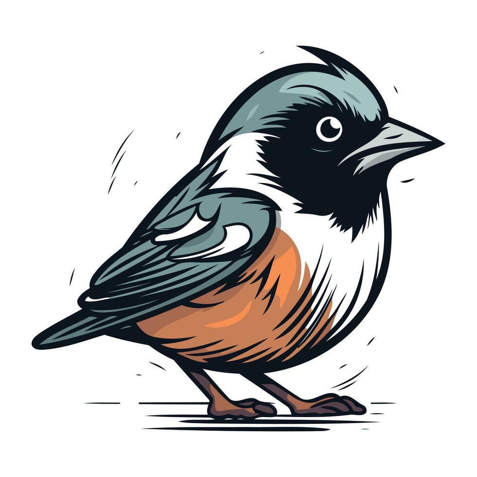 Dom-fafe pássaro isolado em branco fundo. mão desenhado vetor ilustração.