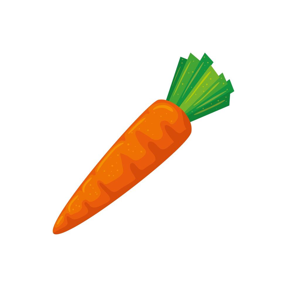 desenho de vetor de ícone de cenoura isolado