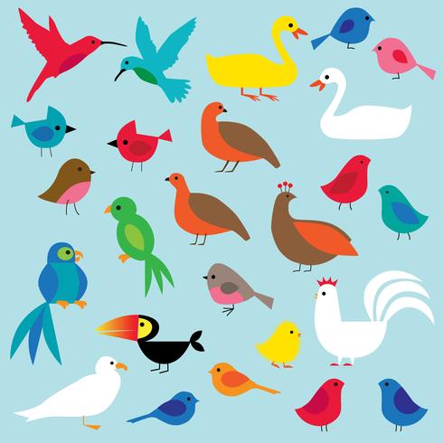 clipart de aves vetor