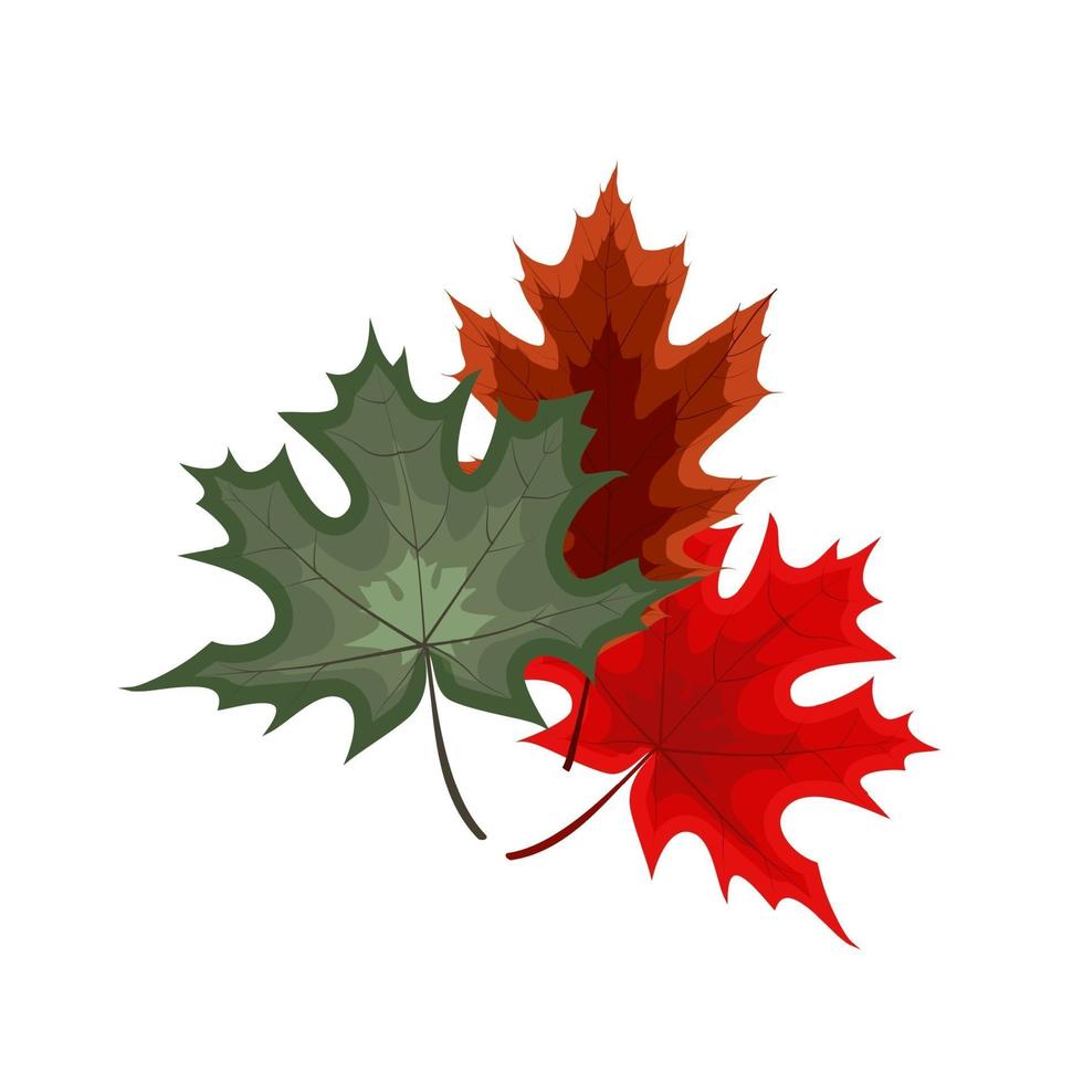 ícone de folhas caindo de outono isolado vetor