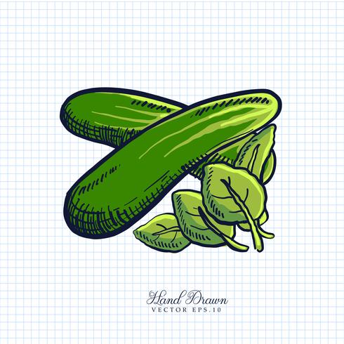 Mão desenhada frutas e vegetais ilustração vetor