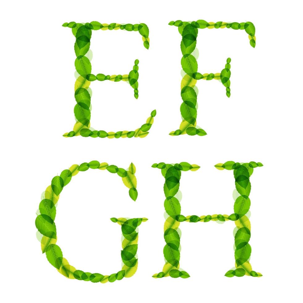 letras do alfabeto de vetor feitas de folhas verdes de primavera.