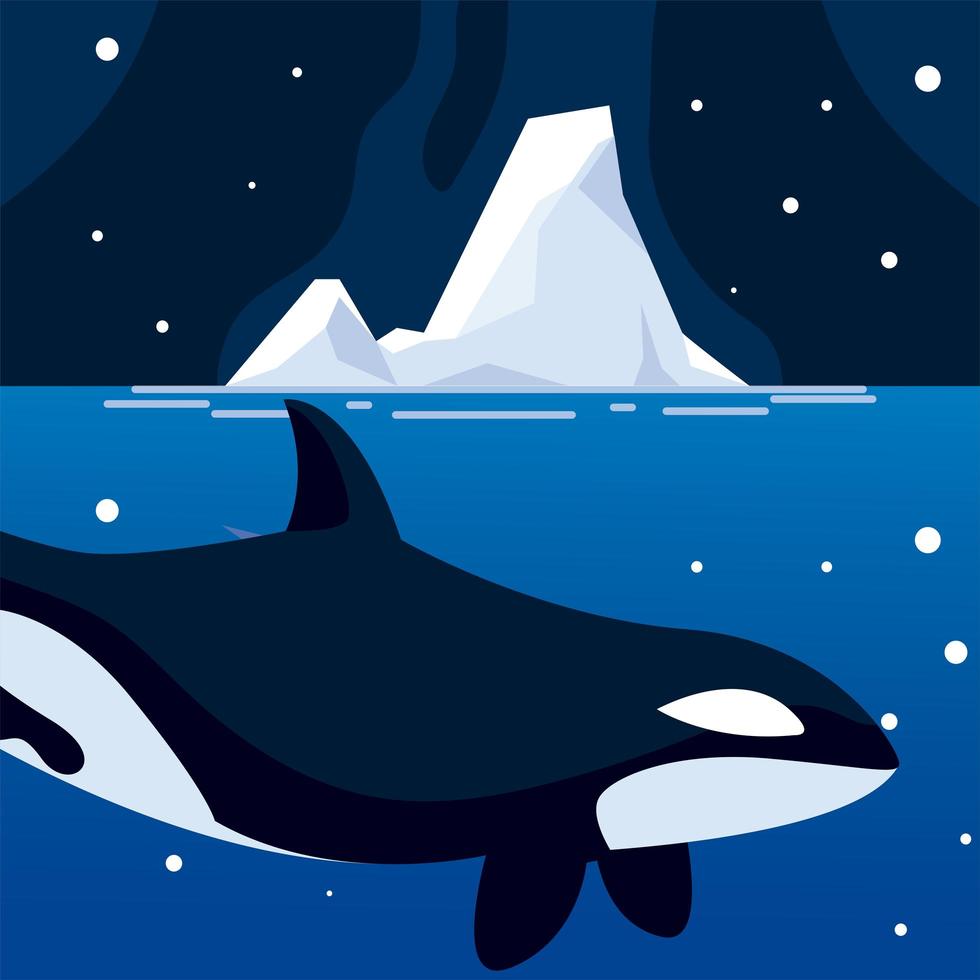 orca baleia pólo norte animal e céu noturno de iceberg vetor