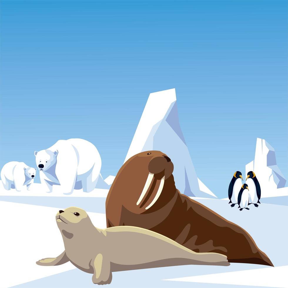 pinguins, ursos polares, morsas e, focas, animais, pólo norte vetor