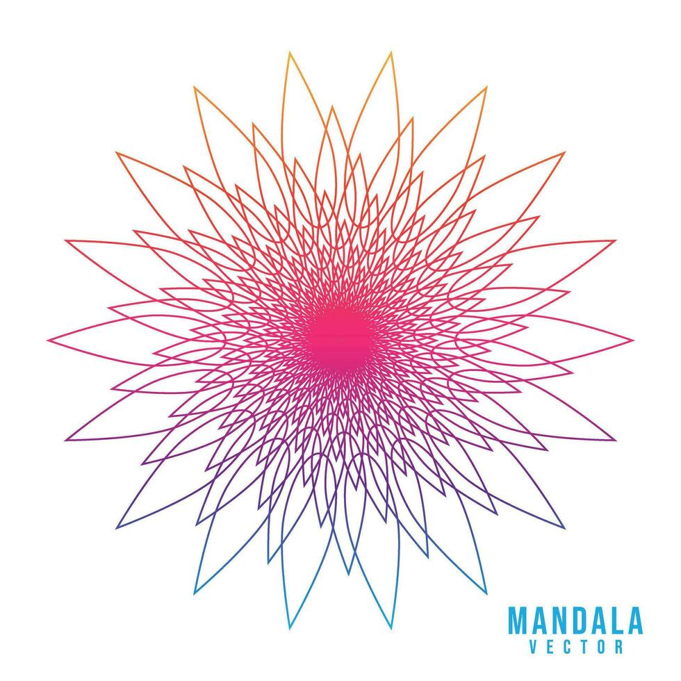 colorida gradiente simples único mandala Projeto em branco fundo vetor