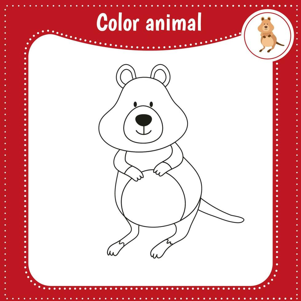 fofa desenho animado animal - coloração página para crianças. educacional jogos para crianças. vetor ilustração. cor quokka