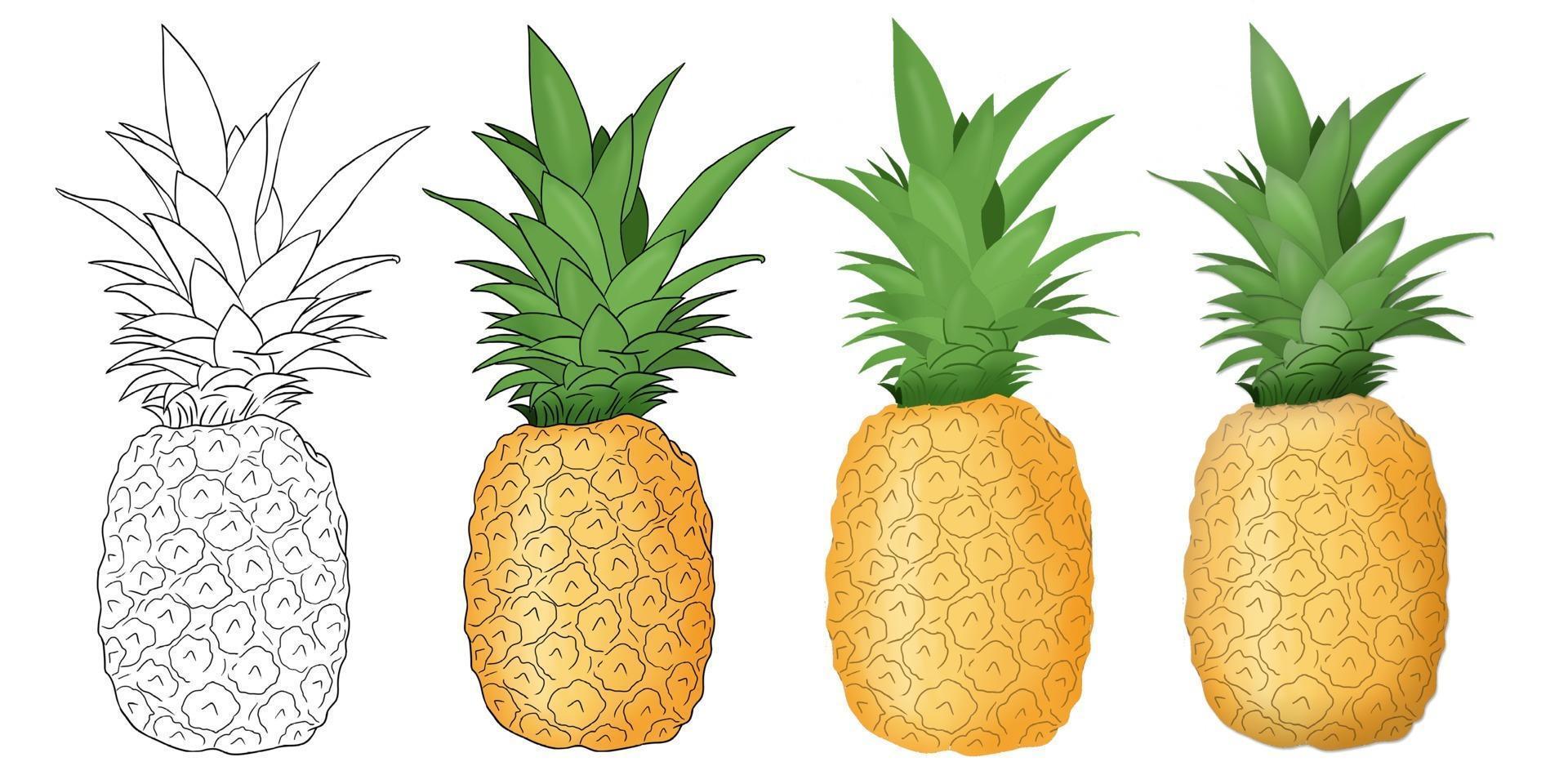 ilustração em vetor abacaxi isolada em um fundo branco