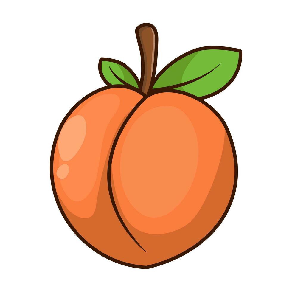 vetor pêssego fruta desenho animado ícone ilustração. Comida fruta ícone conceito isolado