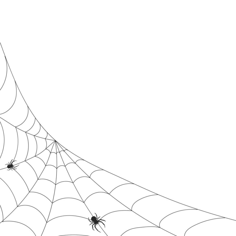 branco fundo com teia de aranha e aranha. insetos. ilustração, fundo com cópia de espaço, vetor