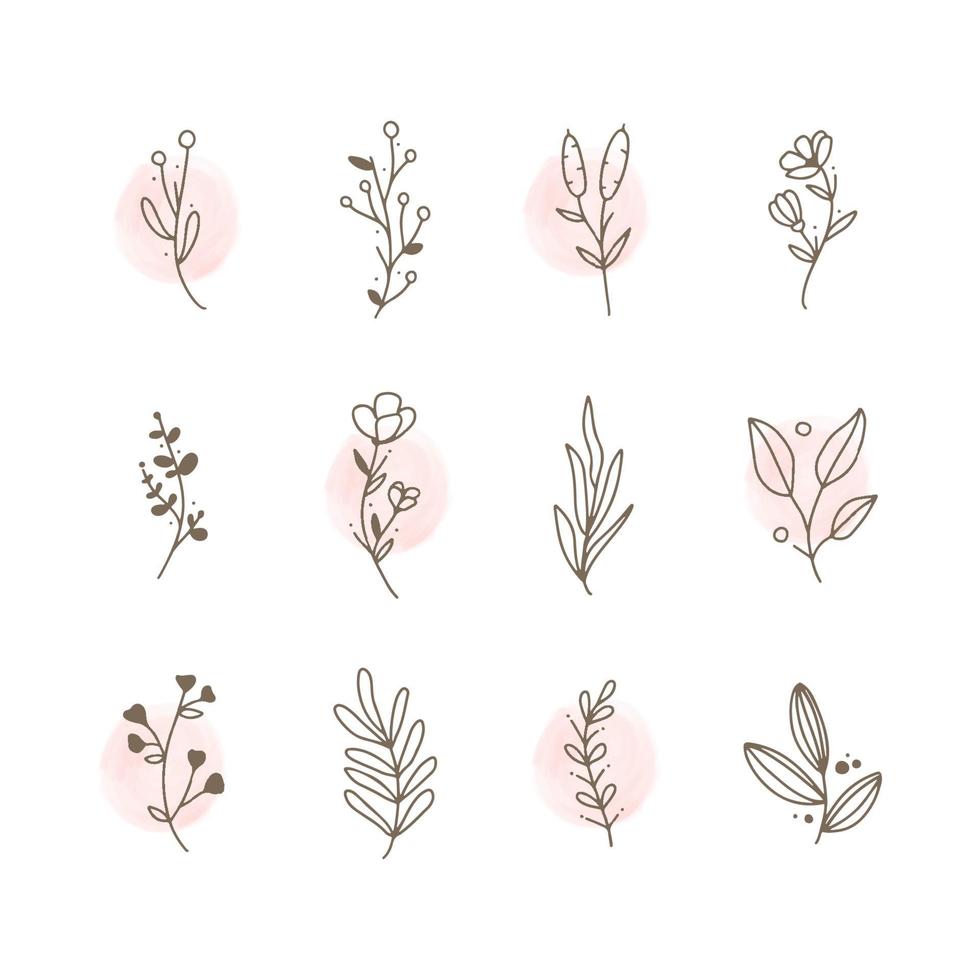 conjunto de elementos de logotipo floral desenhados à mão vetor