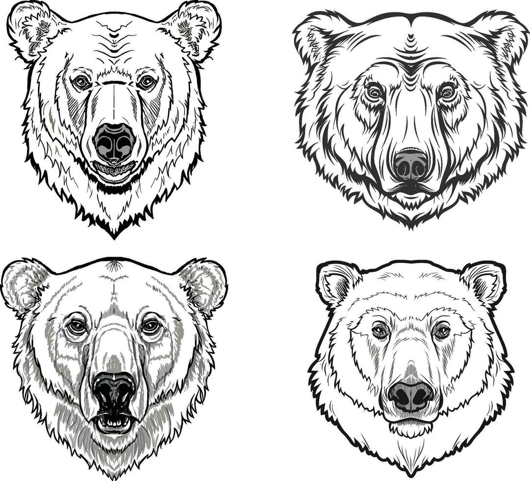 polar Urso cabeça ícone conjunto ilustração vetor