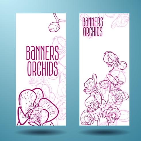 Orquídeas no banner para design vetor