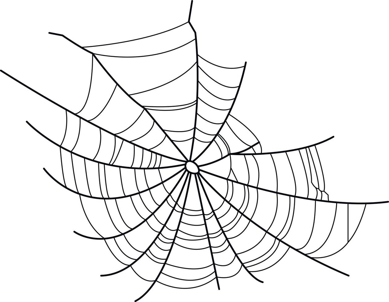 imagem vetorial de uma teia de aranha. teia de aranha sem aranha. vetor