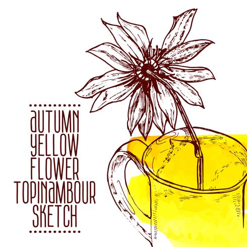 esboço de topinambour de mão desenhada flor amarela vetor
