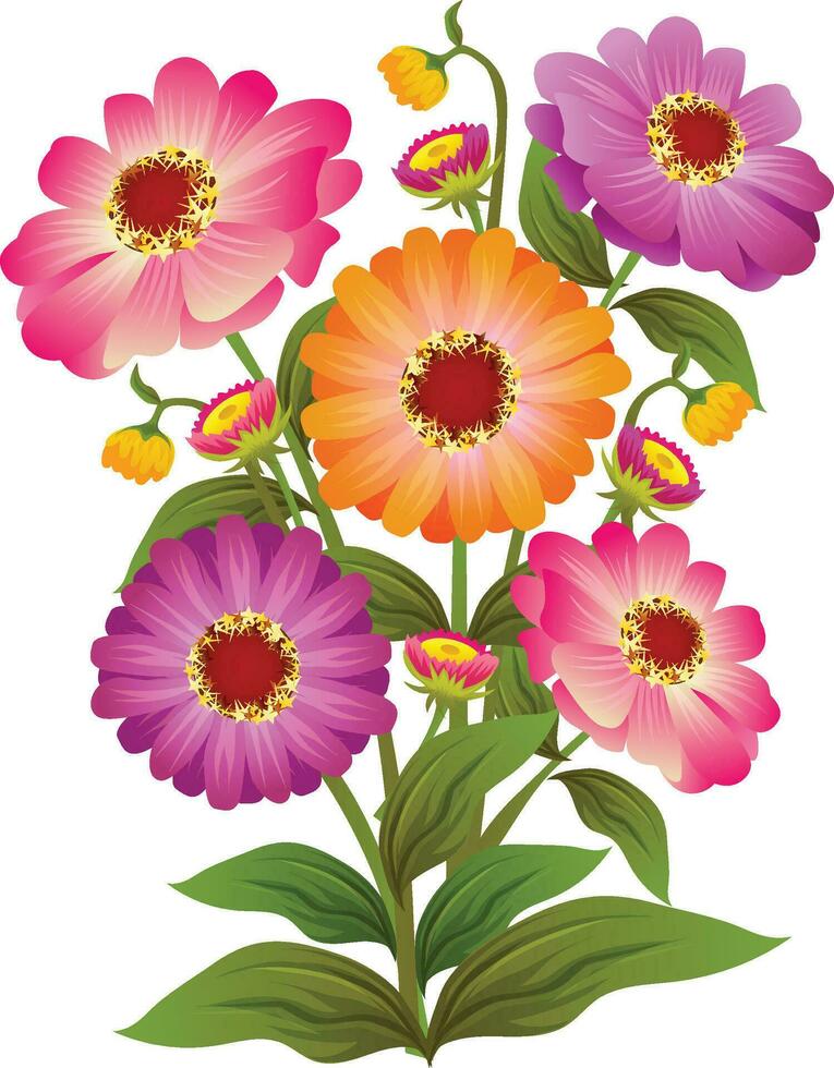 zínia Elegans flor ilustração vetor