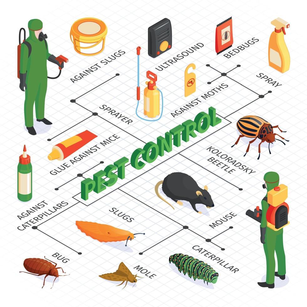 fluxograma isométrico de controle de pragas vetor