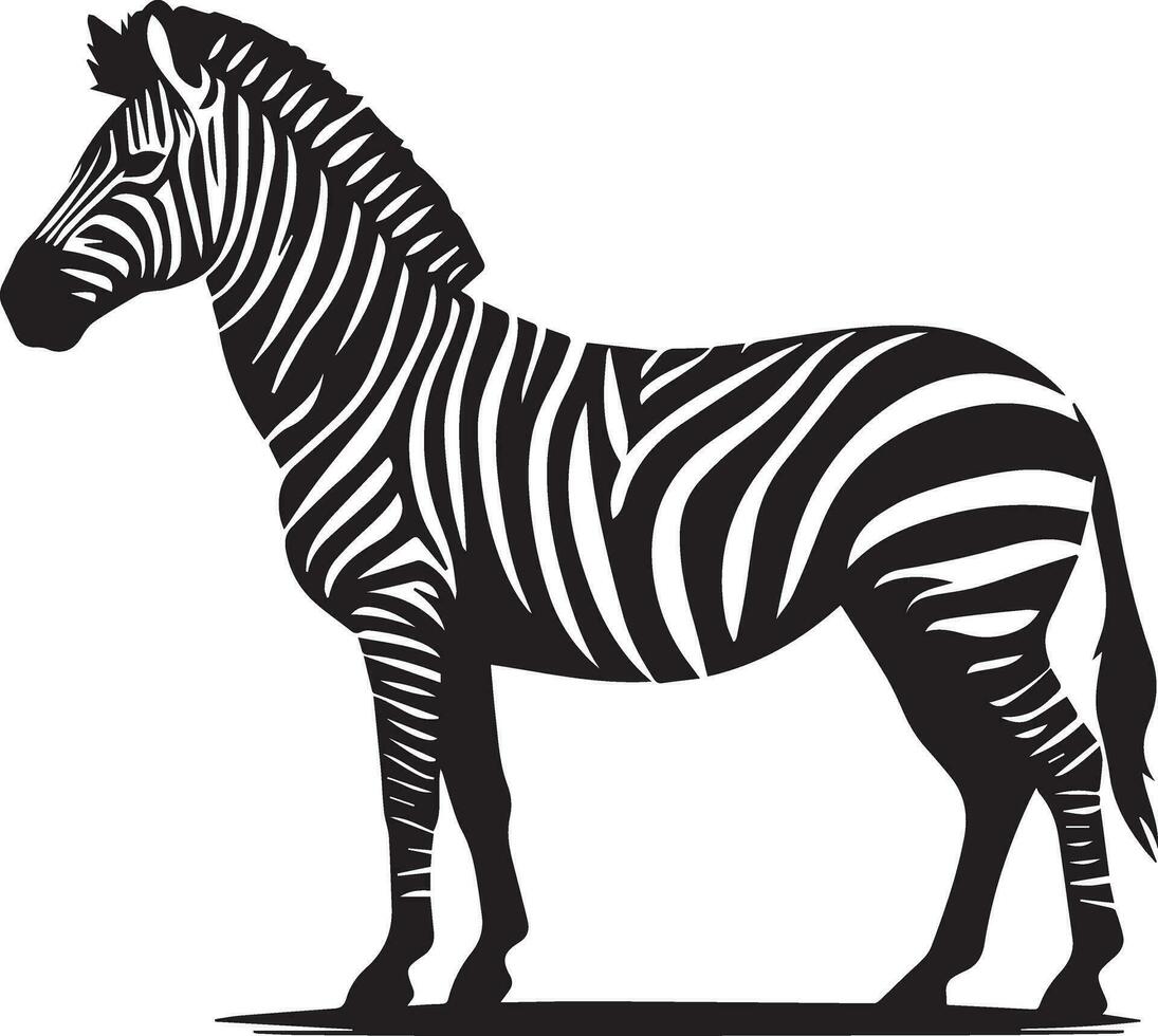 zebra animal vetor silhueta 13