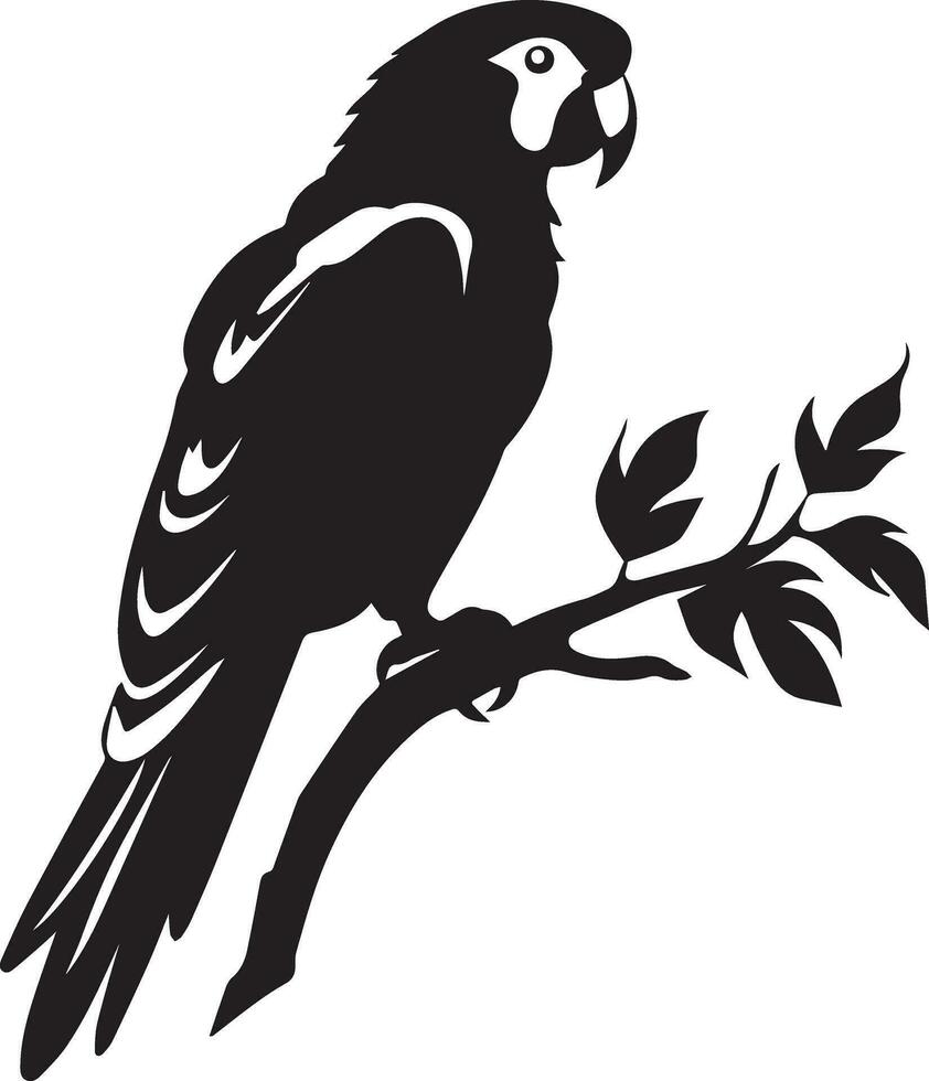 papagaio vetor silhueta ilustração Preto cor