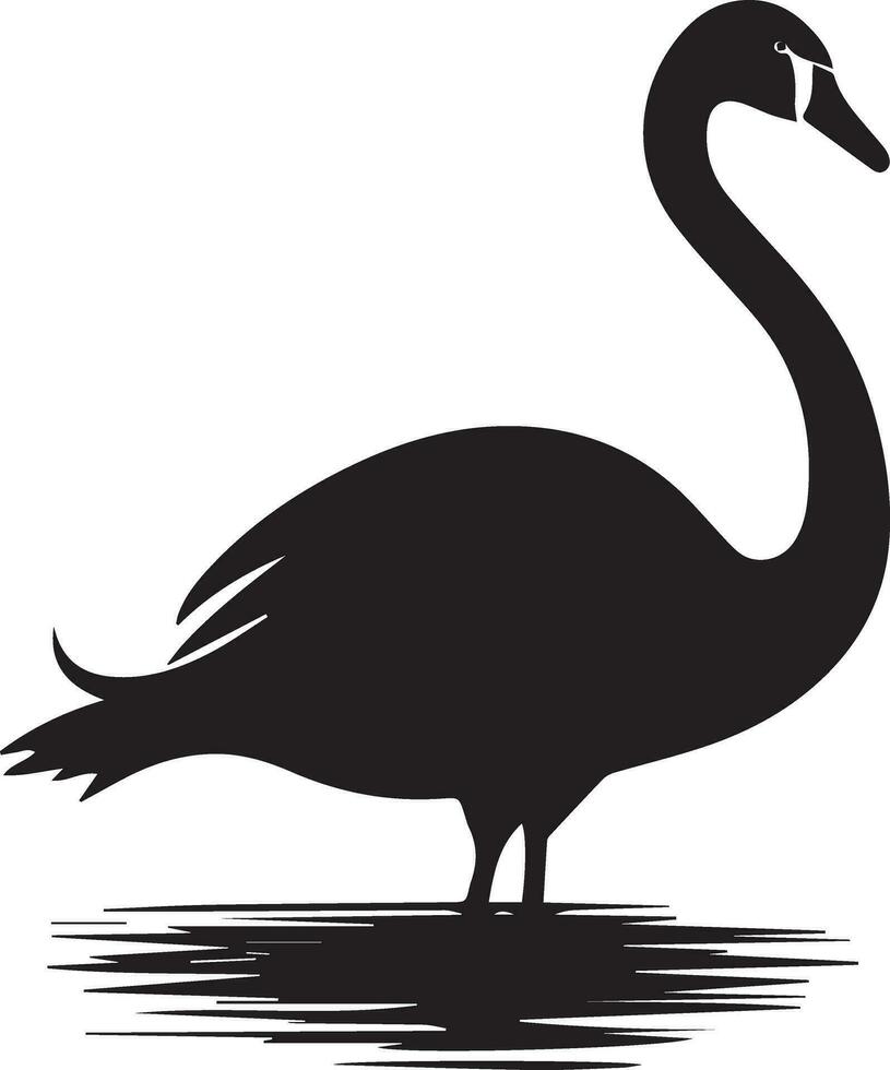 cisne vetor silhueta ilustração Preto cor