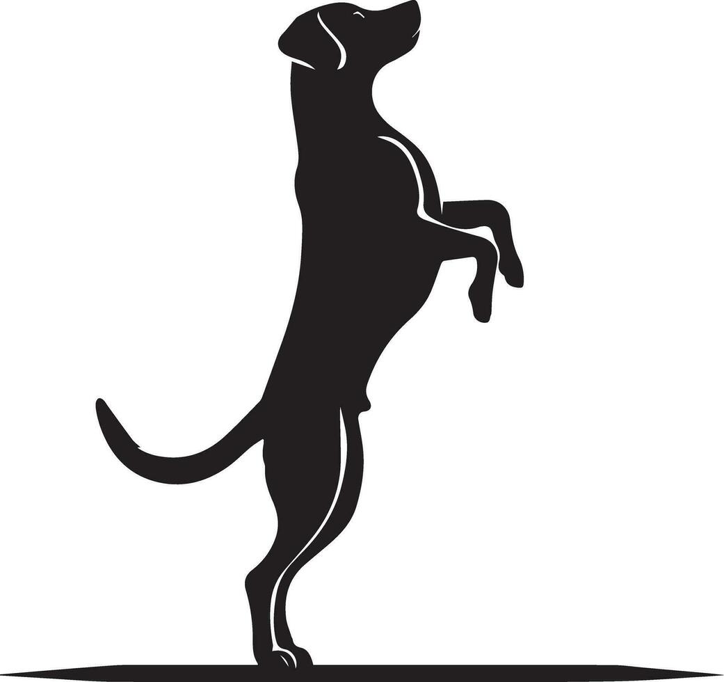 cachorro pose vetor silhueta ilustração Preto cor