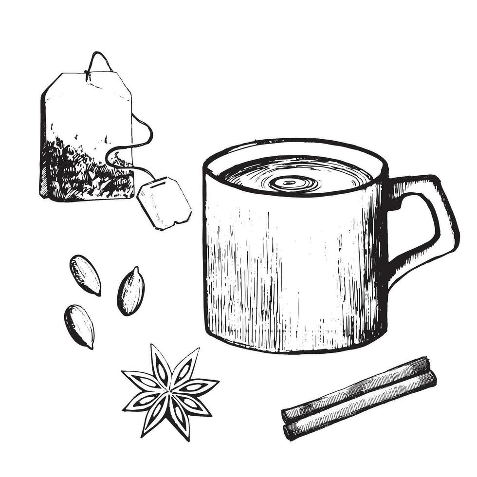 vetor ilustração. copo do chá, chá bolsa, especiarias, cardamomo, Estrela anis, canela desenhado dentro vetor dentro Preto em uma branco fundo. para cozimento, cozinha, jantar sala, Projeto e criatividade.