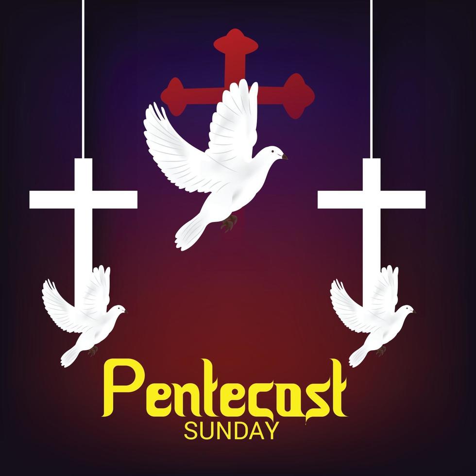 Pentecostes domingo pomba do espírito santo. vetor