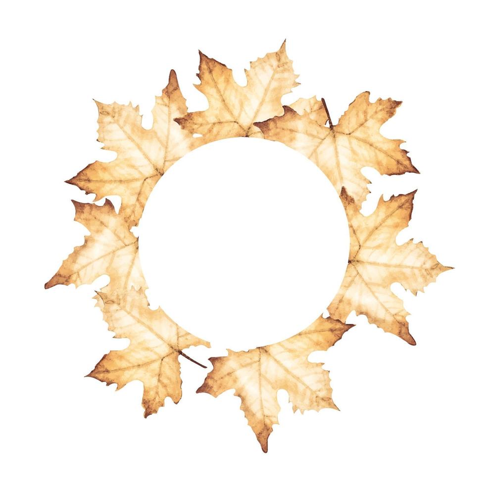 quadro de círculo de outono com folhas de plátano. ilustração em aquarela. vetor
