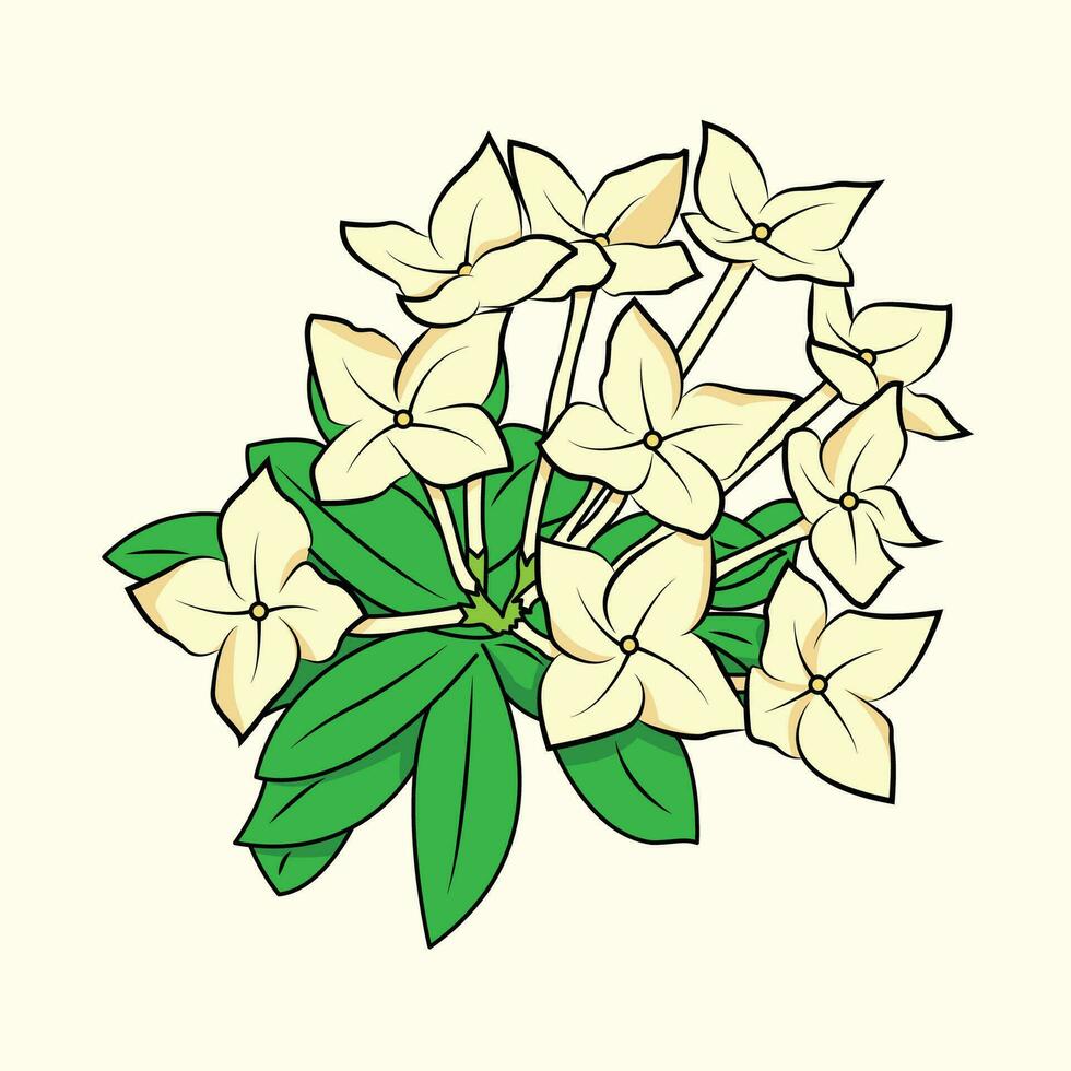 Asoka flor a ilustração vetor