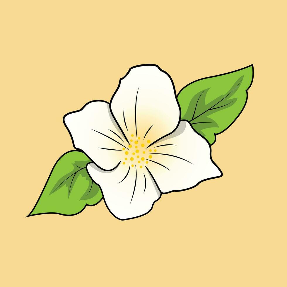 jasmim flor a ilustração vetor