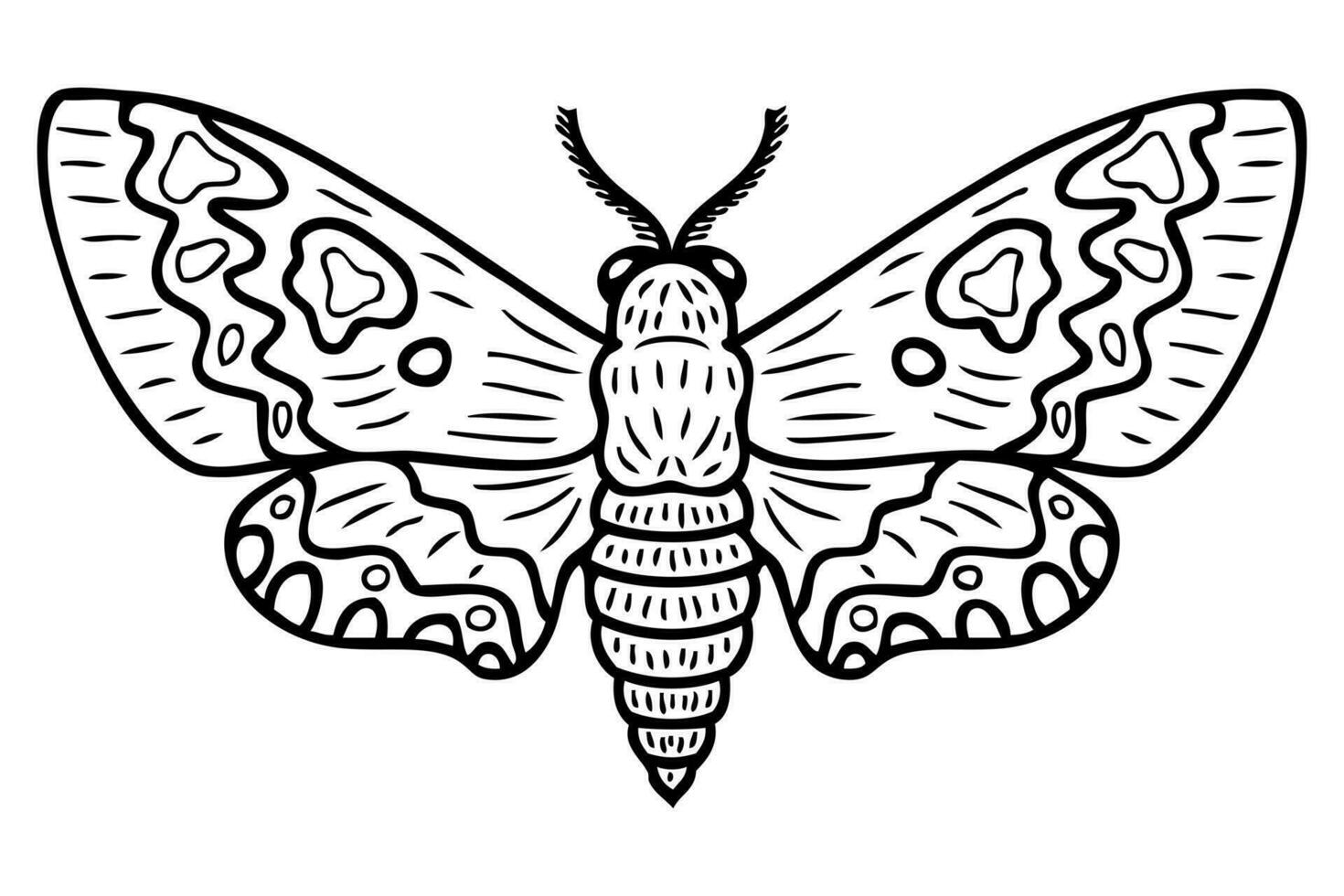 acerôncia atropos monocromático realista rabisco Falcão mariposa. perfeito para camiseta, poster, cartão, adesivo, bandeira. vetor