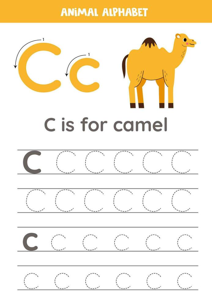 rastreamento alfabeto cartas para crianças. animal alfabeto. c é para camelo. vetor