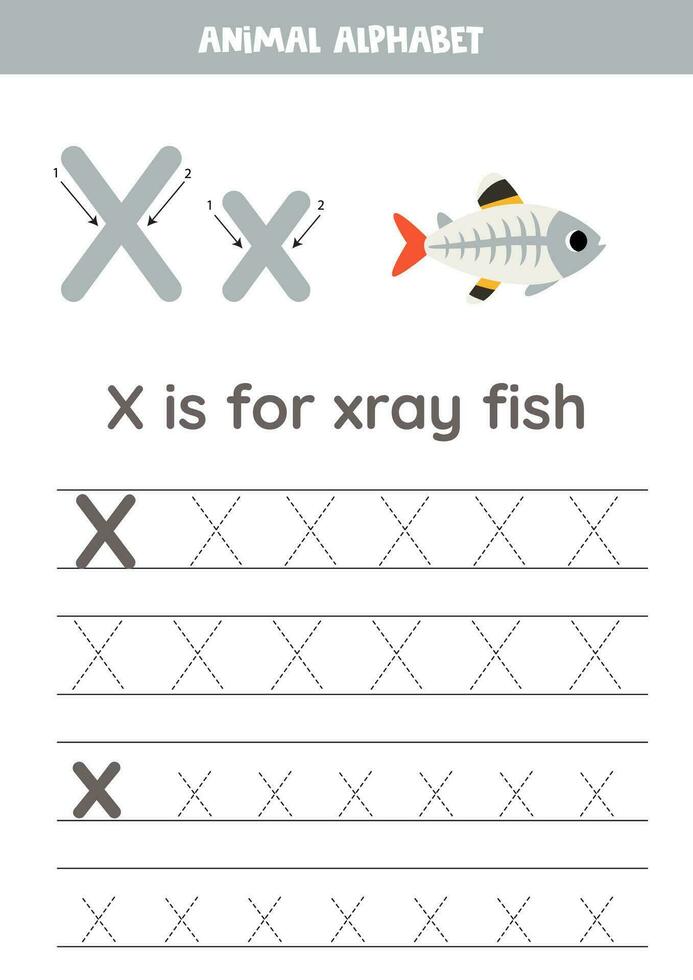 rastreamento alfabeto cartas para crianças. animal alfabeto. x é para raio X peixe. vetor