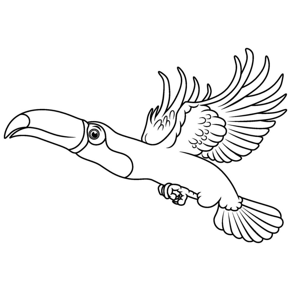 desenho animado tucano vôo linha arte vetor