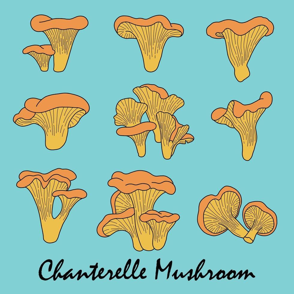 Doodle desenho à mão livre de cogumelo chanterelle vetor