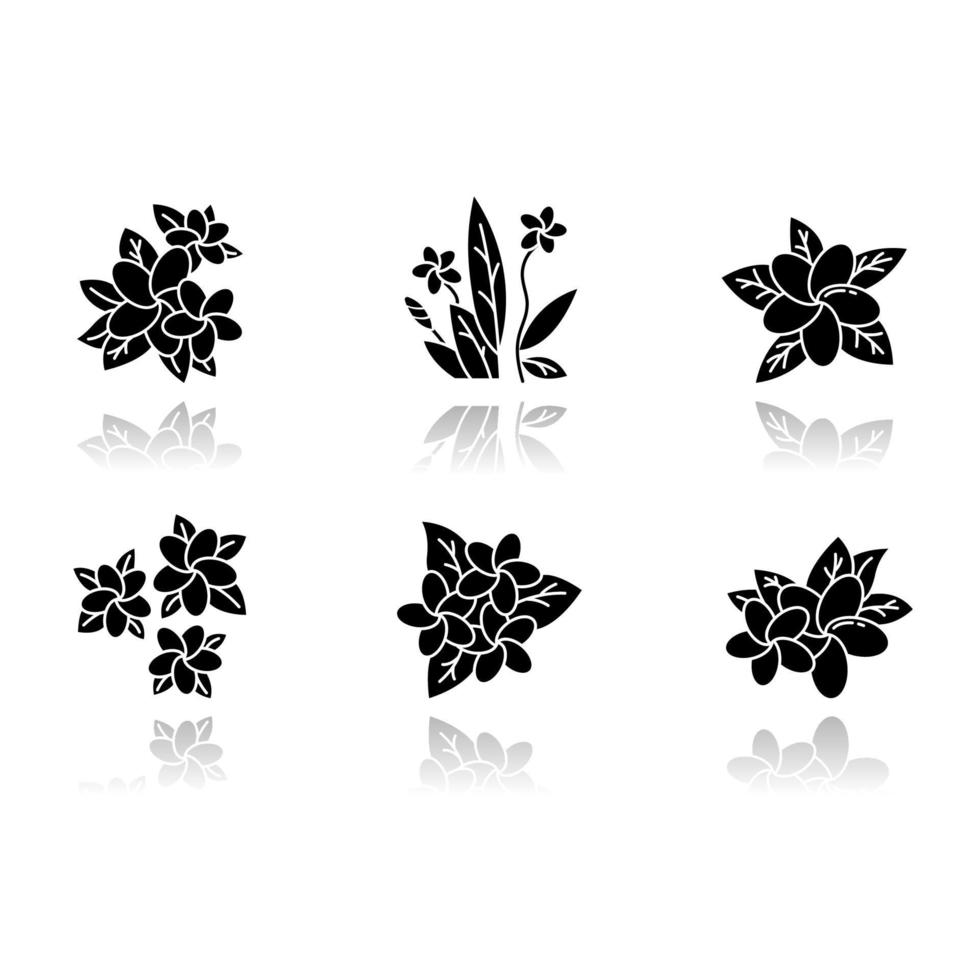 conjunto de ícones de glifo preto de sombra projetada plumeria vetor