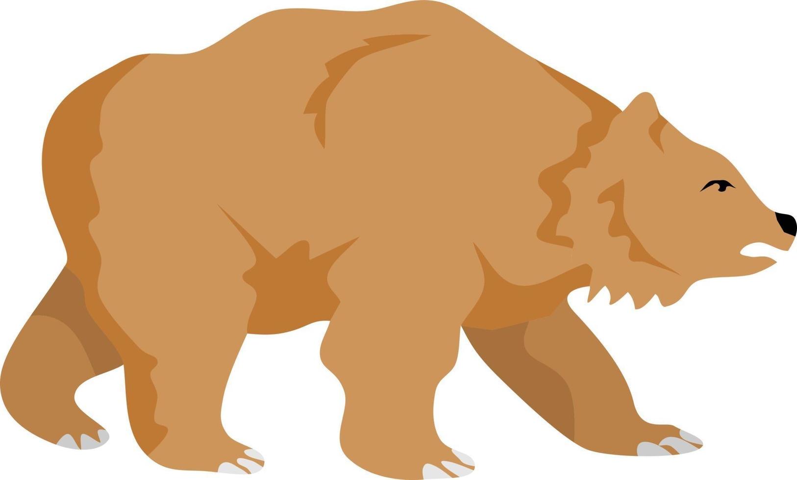urso mamífero ilustração vetorial animal vetor