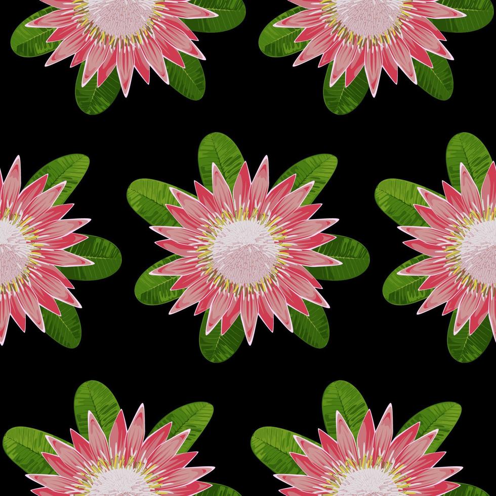 protea seamless pattern vetor