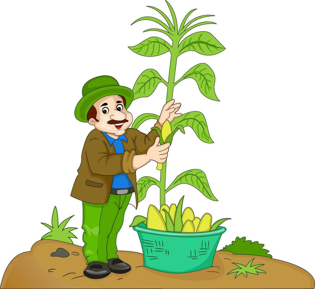 homem colheita milho, ilustração vetor