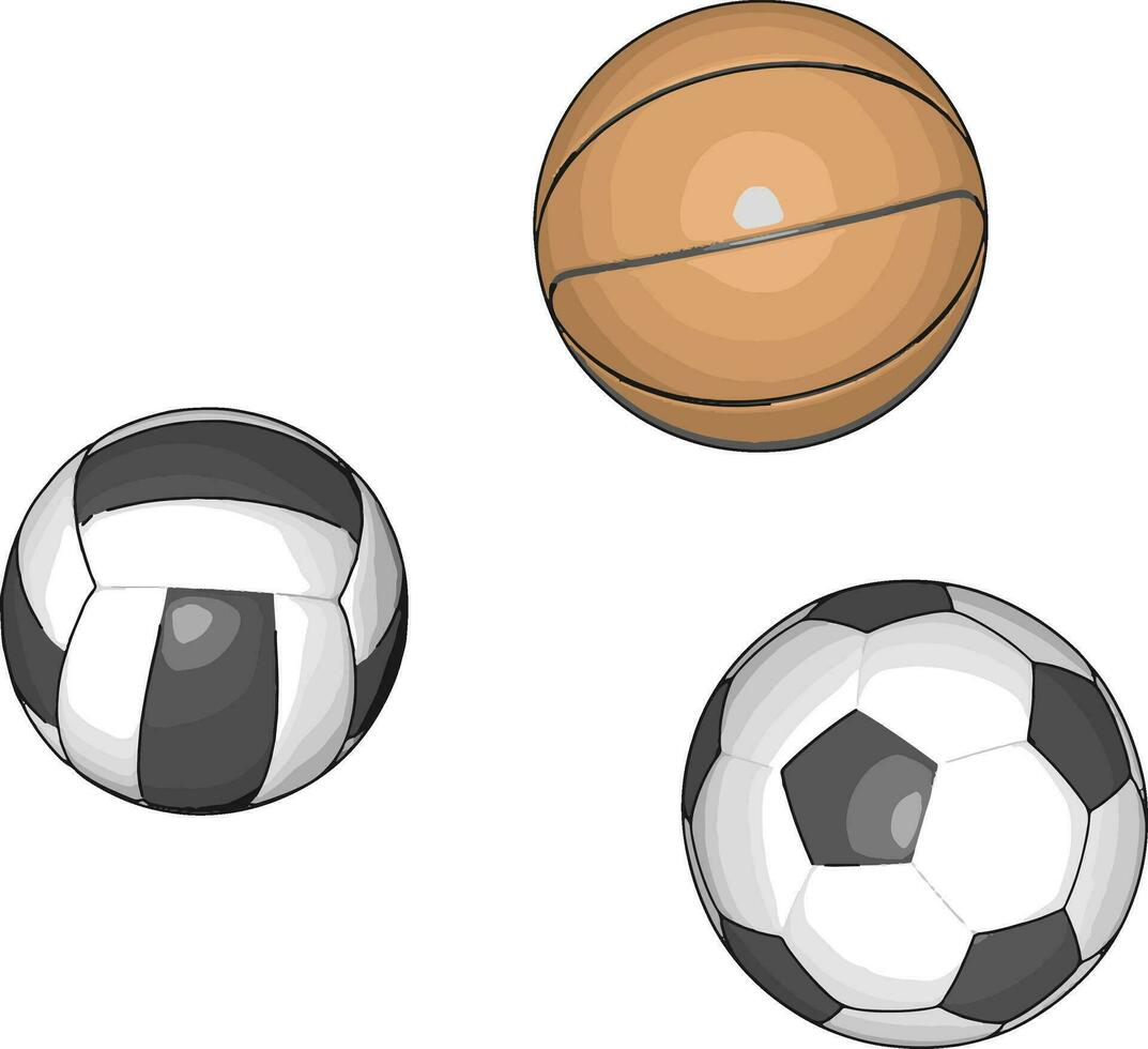 bolas para vários Esportes vetor ilustração em branco fundo