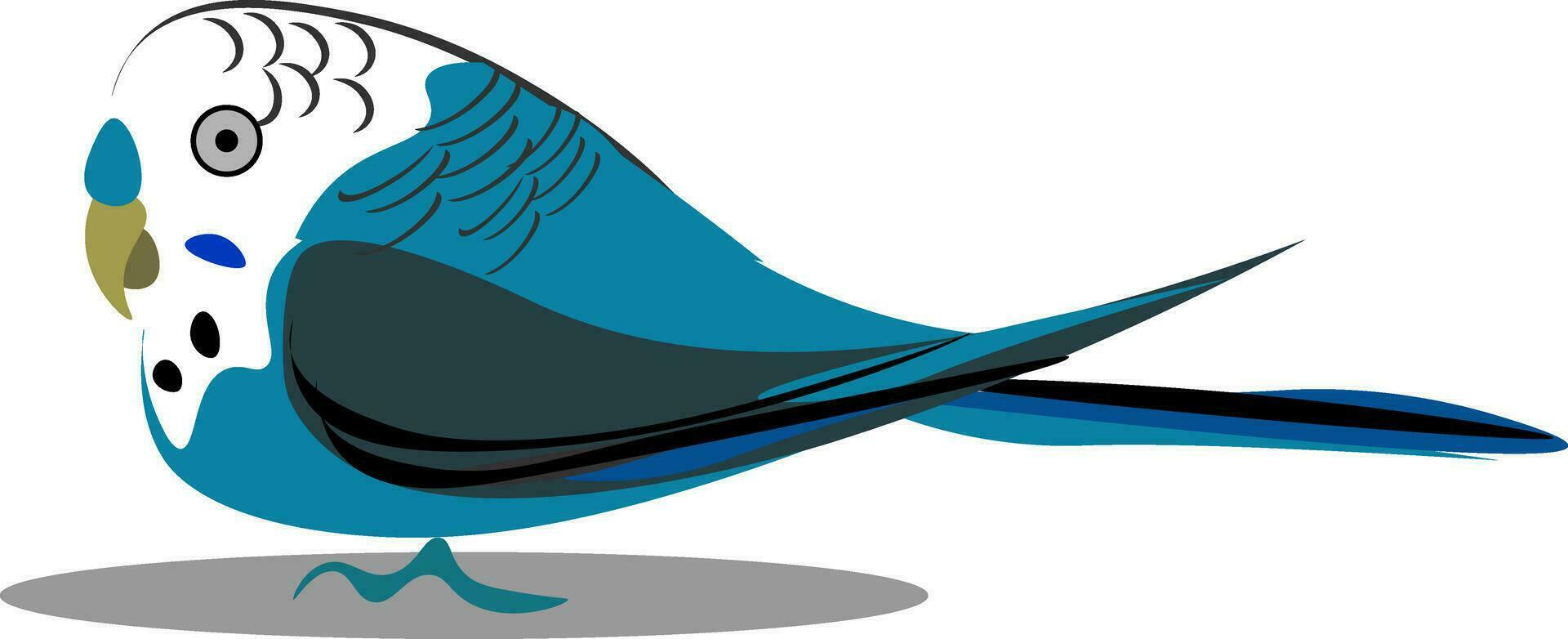 uma pequeno periquito australiano pássaro vetor ou cor ilustração