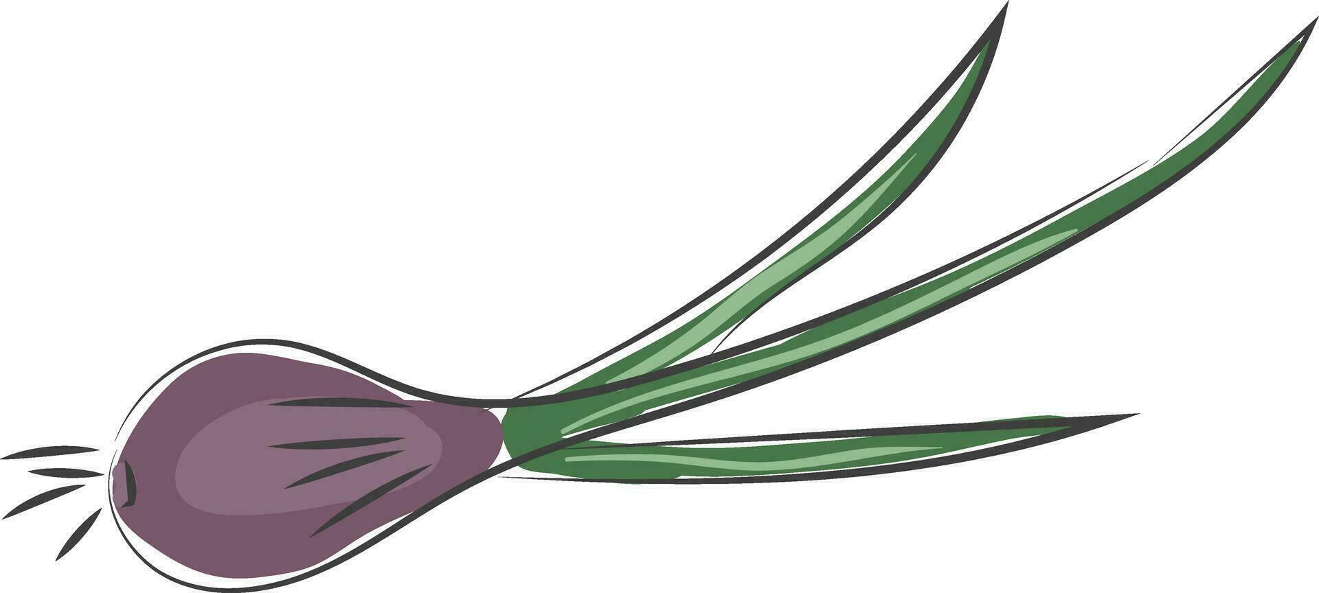 uma tolet cor cebola com verde folhas vetor ou cor ilustração